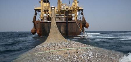 Lettre ouverte du GAIPES à Monsieur Alioune NDOYE, Ministre des Pêches et de L’Economie maritime sur 52 demandes de promesses de licences de pêche destinées à des navires chinois
